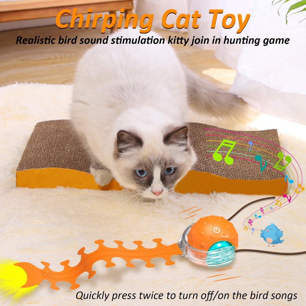 Waaiio bird chirping sound invites pursuit and interactive play.