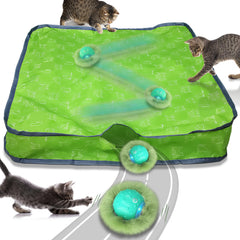 Waaiio interactive cat toy ball in pouch entices curious indoor cat to explore.