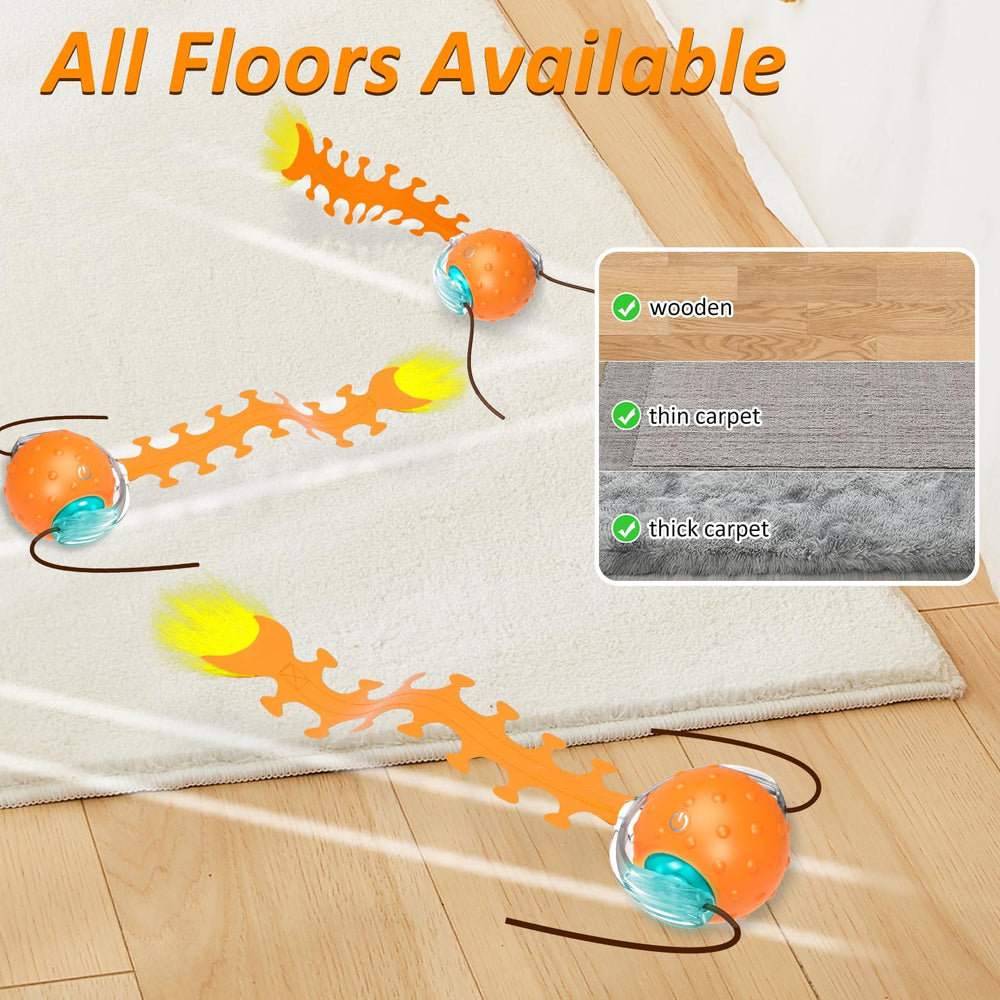 Waaiio rolling ball on floor demonstrates fast movement to burn energy.