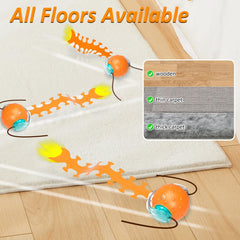 Waaiio rolling ball on floor demonstrates fast movement to burn energy.