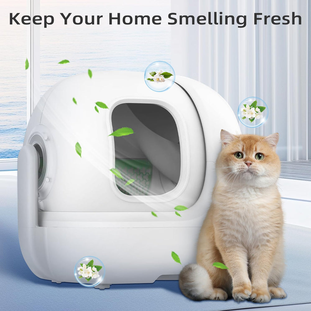 Waatoos N50 30-day-use reminder supports sustained odor control.