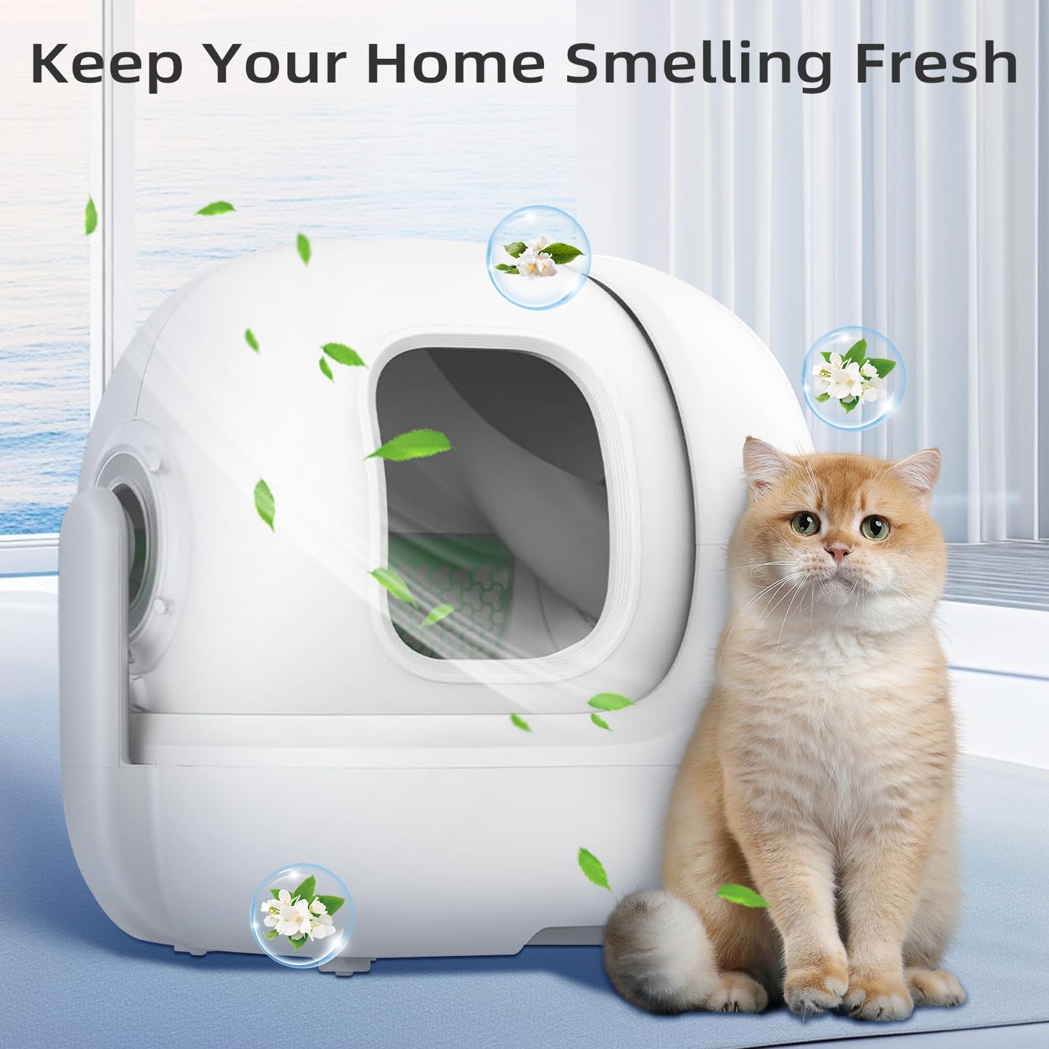 Waatoos pet-safe formula emphasizes non-toxic deodorization for homes with cats.