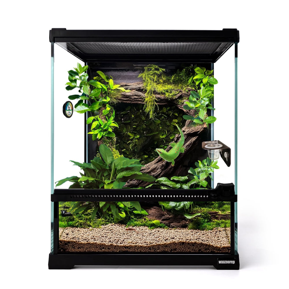 Waazoorep 11 gal vertical tank front view ideal for observation of small reptiles