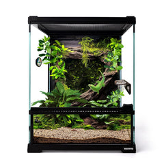 Waazoorep 11 gal vertical tank front view ideal for observation of small reptiles