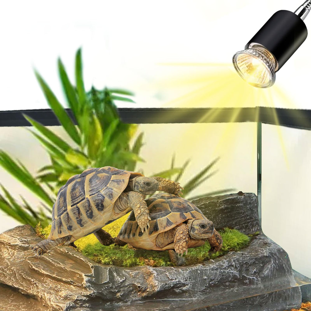 waazoorep sleek black design integrates with any terrarium setup
