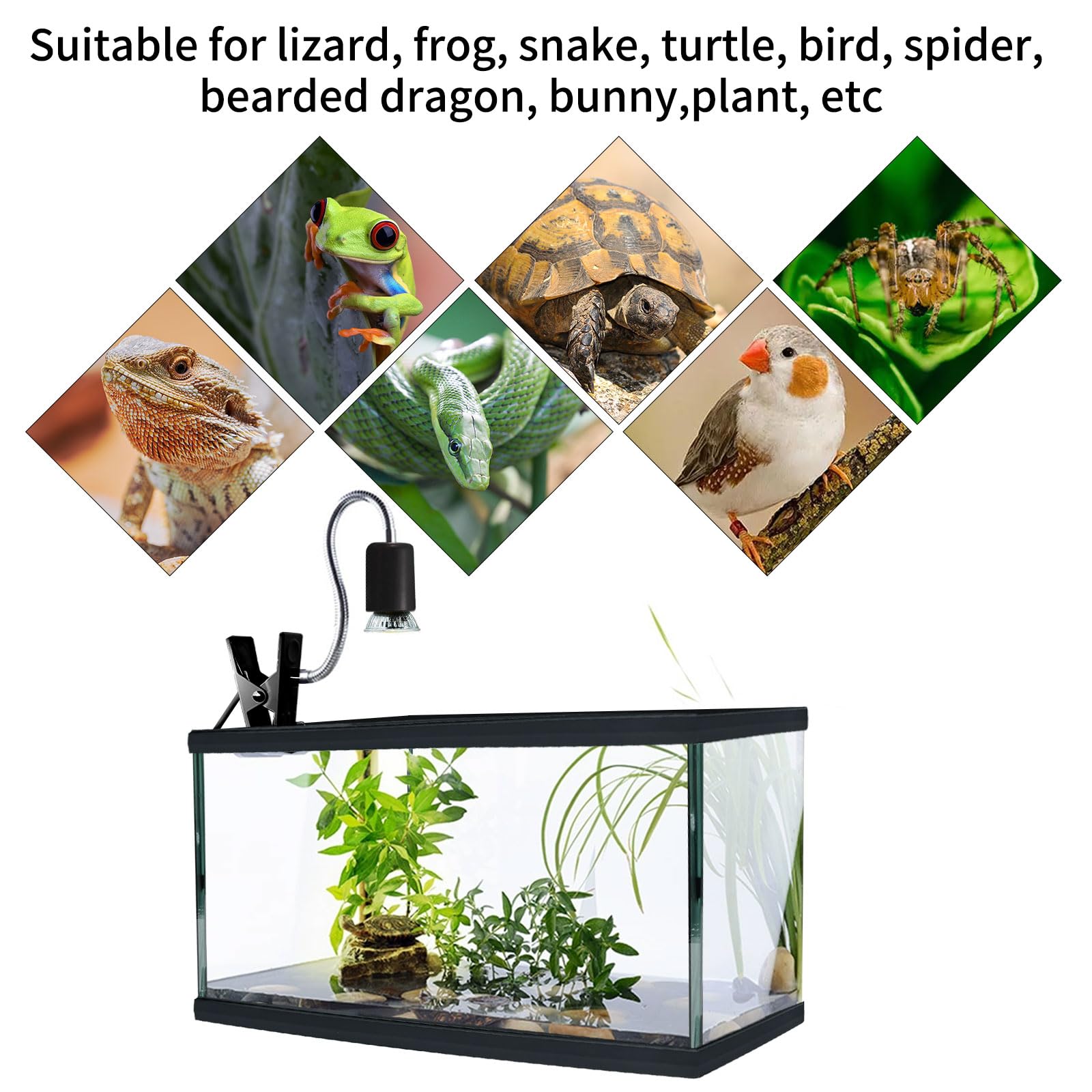waazoorep wide compatibility fits bearded dragons, turtles, lizards and more