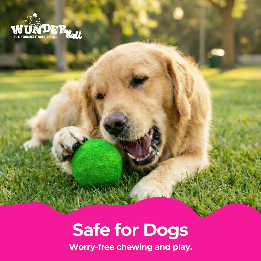 WACKYwalk'r WUNDERball available in multiple sizes for dogs