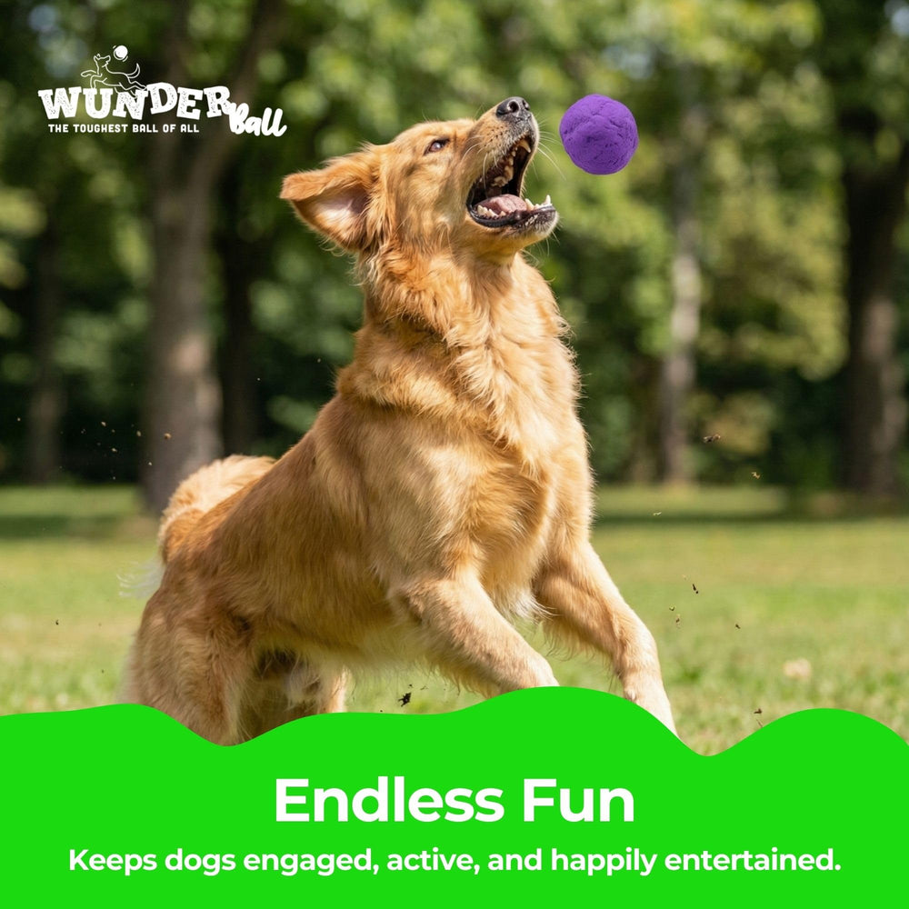 WACKYwalk'r WUNDERball features unpredictable bounce for lively games