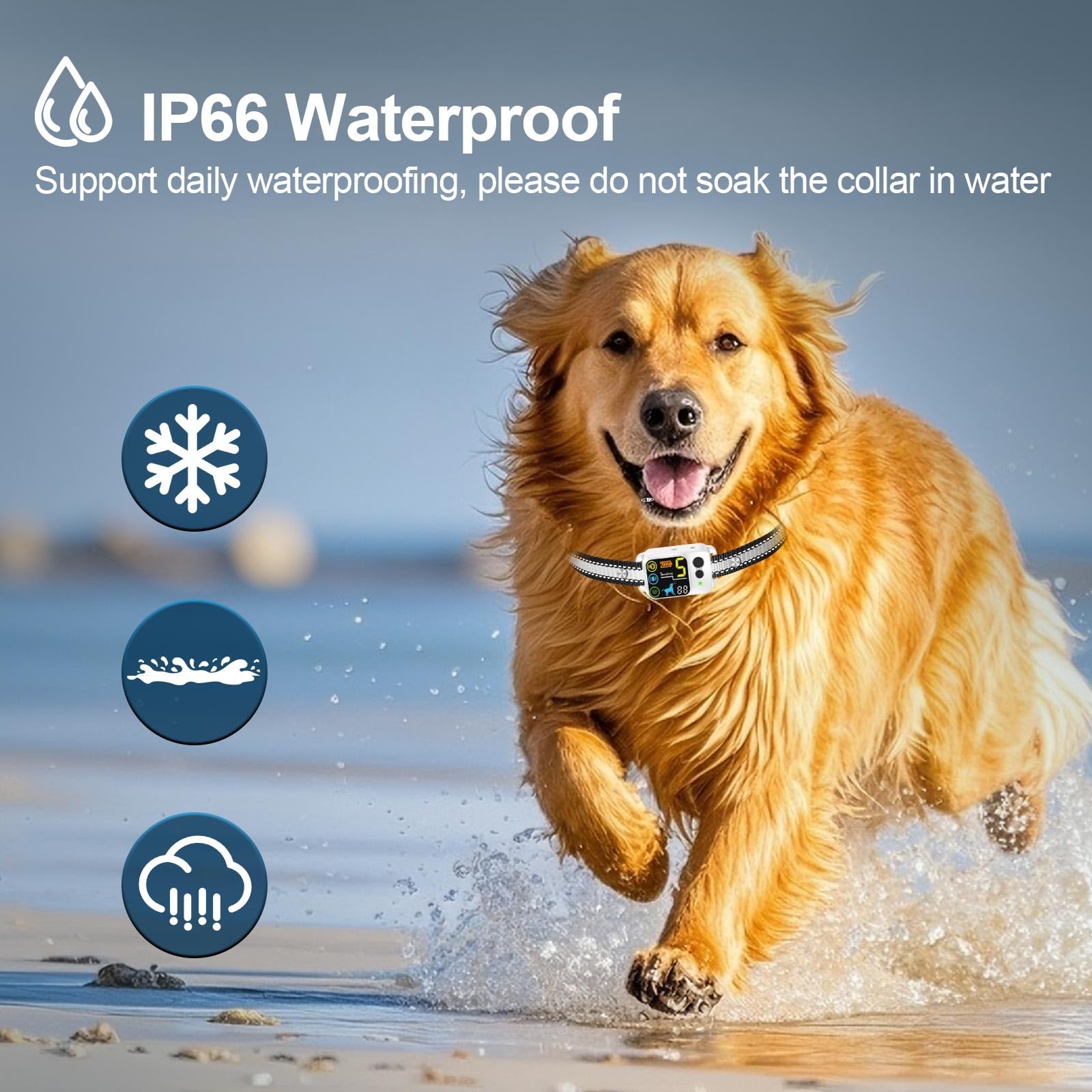 IP66 waterproof design withstands splashes during daily activities