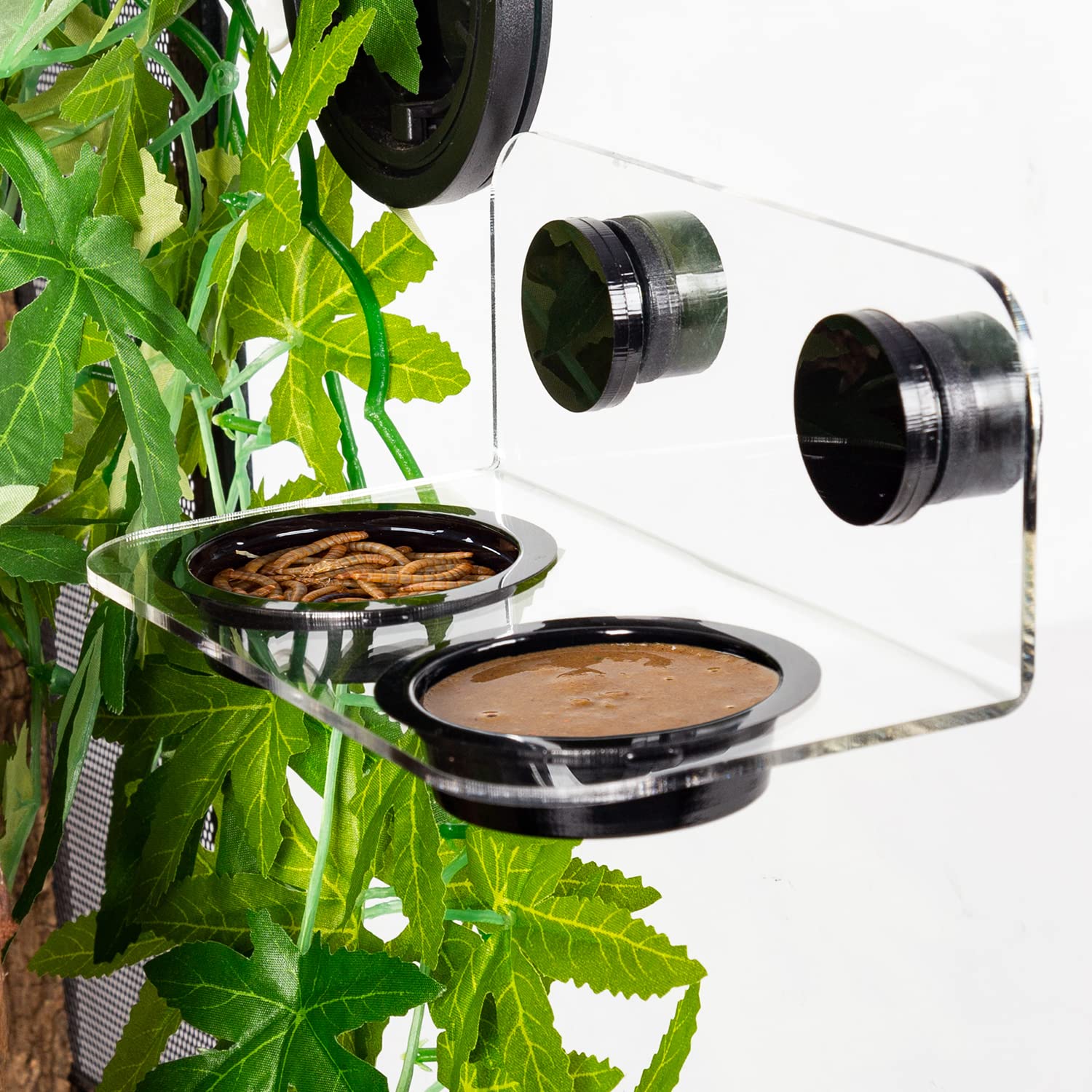 WACOOL compatible with glass tanks for geckos and lizards.