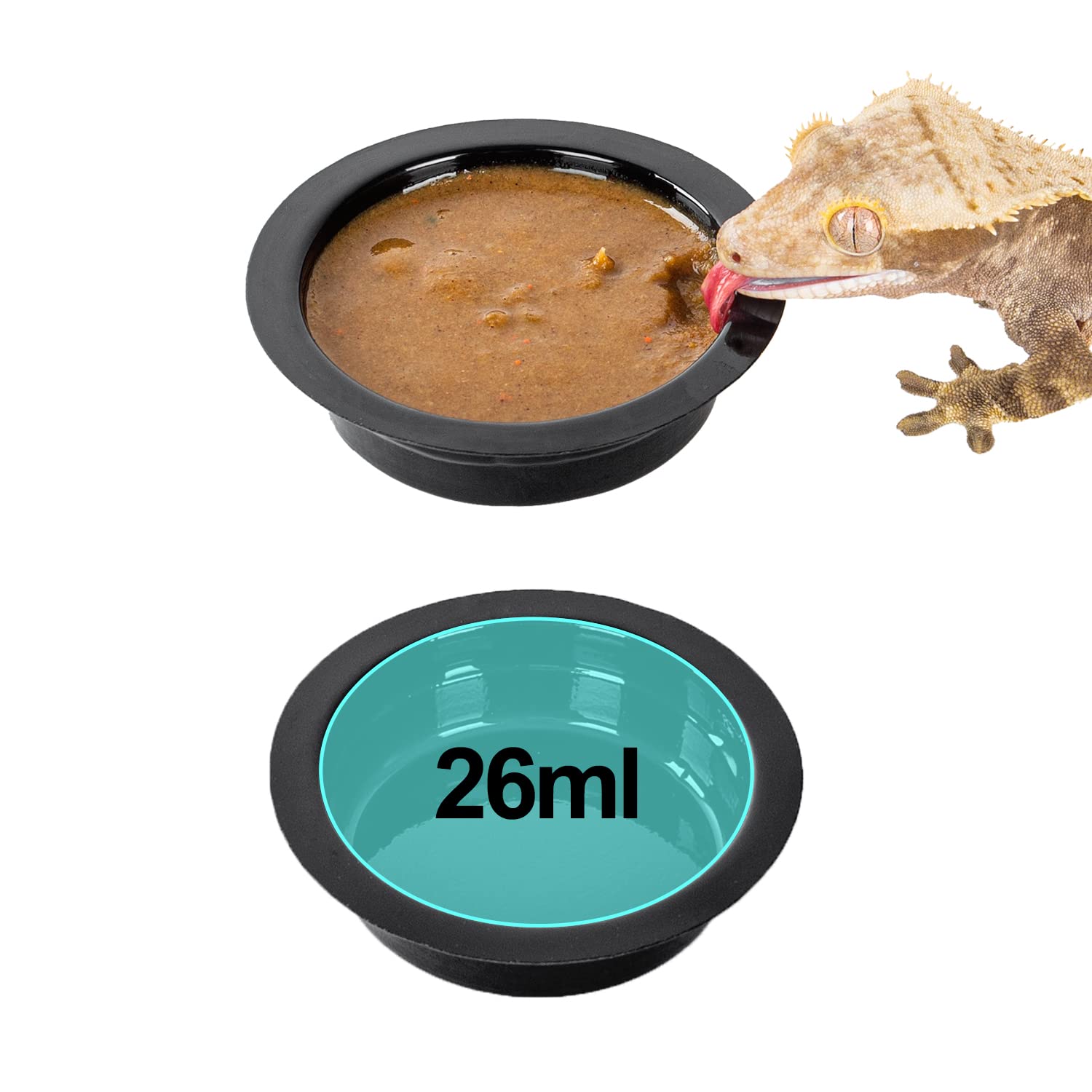 WACOOL acrylic material ensures durable, non-toxic feeding surface.