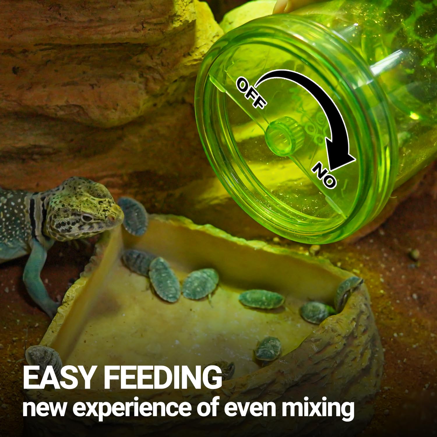 WACOOL TERRA in terrarium setup supports insect-based reptile diets