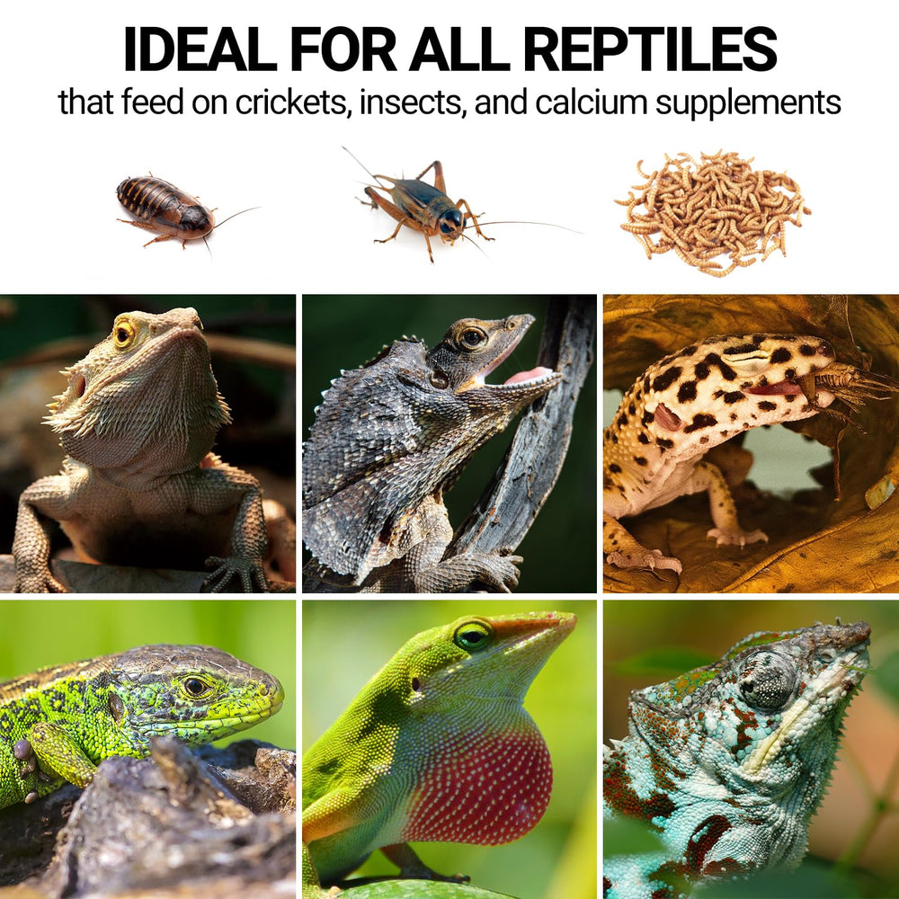 WACOOL TERRA cricket mixer as an indispensable reptile tank accessory