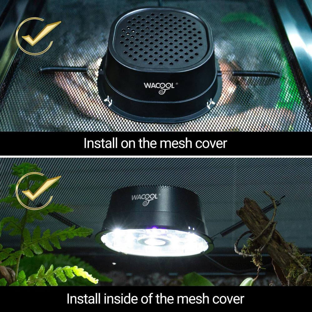 Wacool Terra gecko setup shows compact, efficient reptile lighting