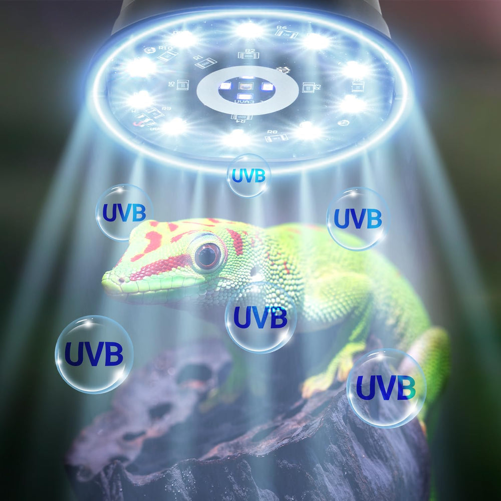 Wacool Terra turtle setup emphasizes steady UVB for shell health