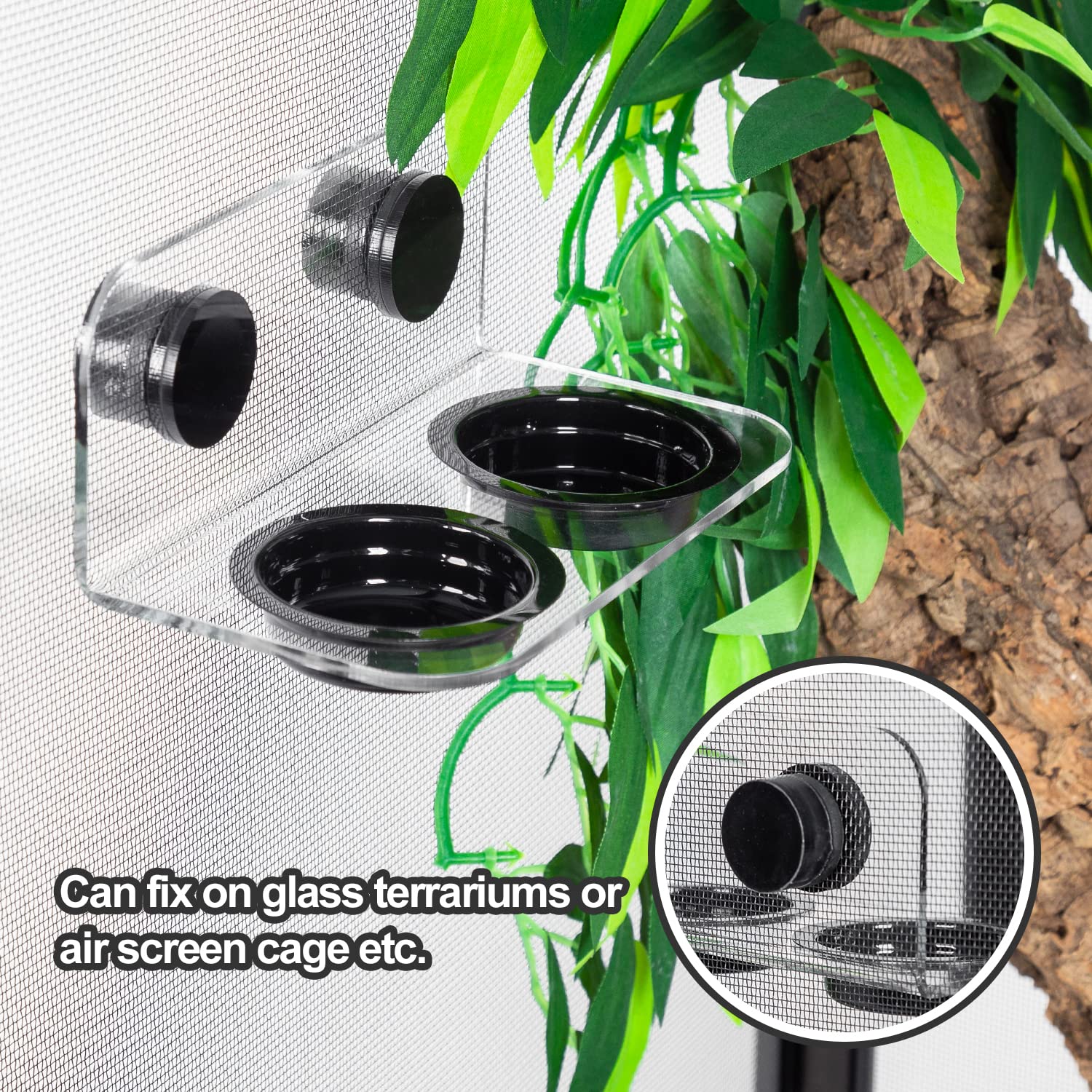 WACOOL two cups enable water and food separation during feeding