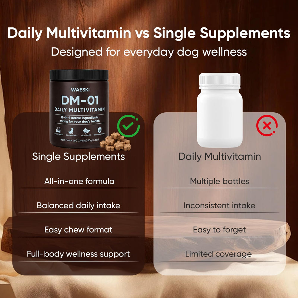 WAESKI DM-01 probiotic and digestive enzymes aiding digestion in dogs