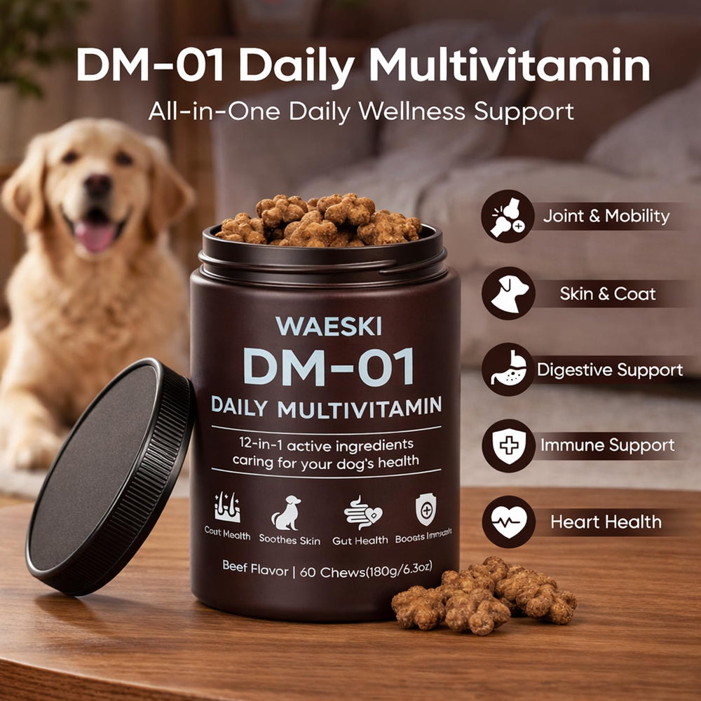 WAESKI DM-01 soft chews close-up showing tasty daily supplement