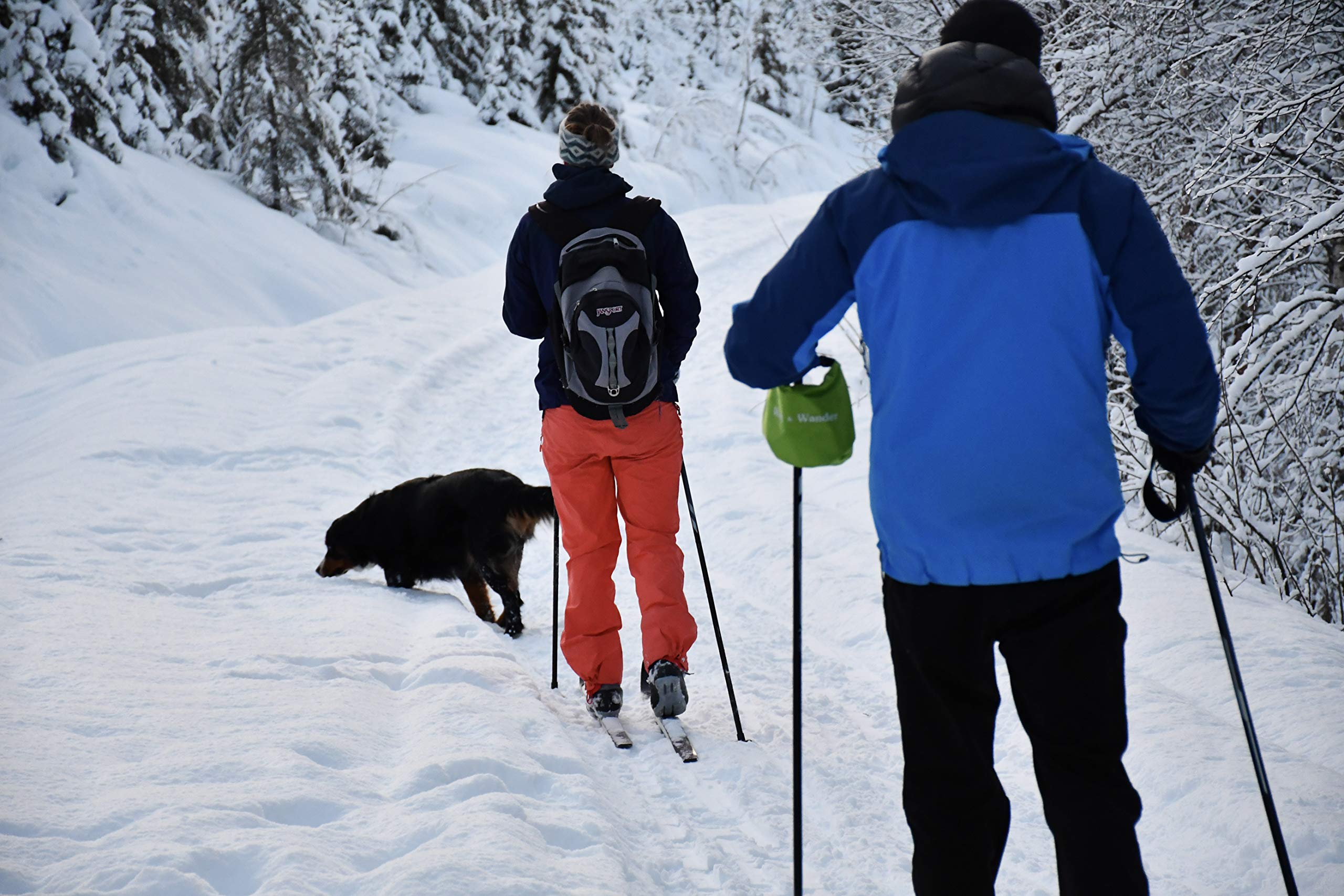 Wag & Wander compact lightweight bag ready for adventures.