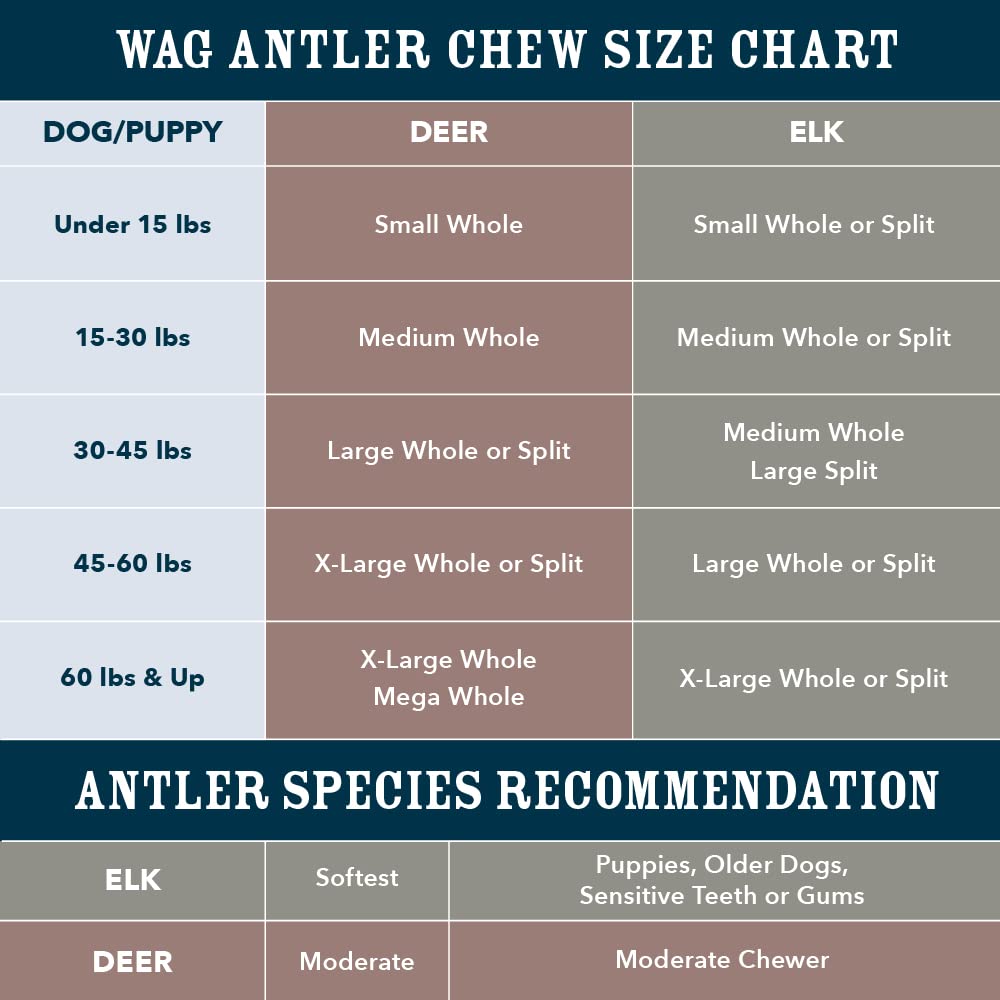 WAG elk antler chew, premium Grade A with natural minerals.