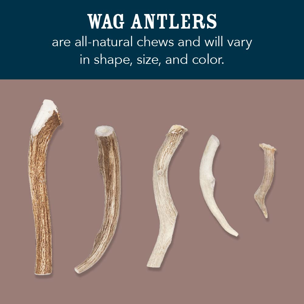 WAG elk antler chew, naturally shed, sourced from North American antlers.