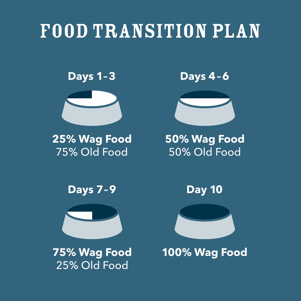 WAG serving scene shows kibble with a bowl, illustrating meal-time routine.