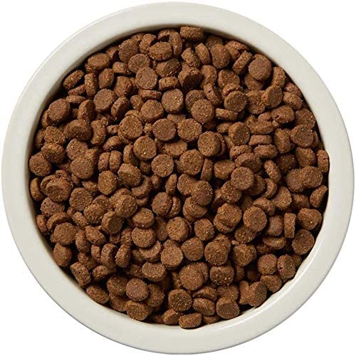Ingredients highlight salmon and sweet potato in Wag Dry Dog Food