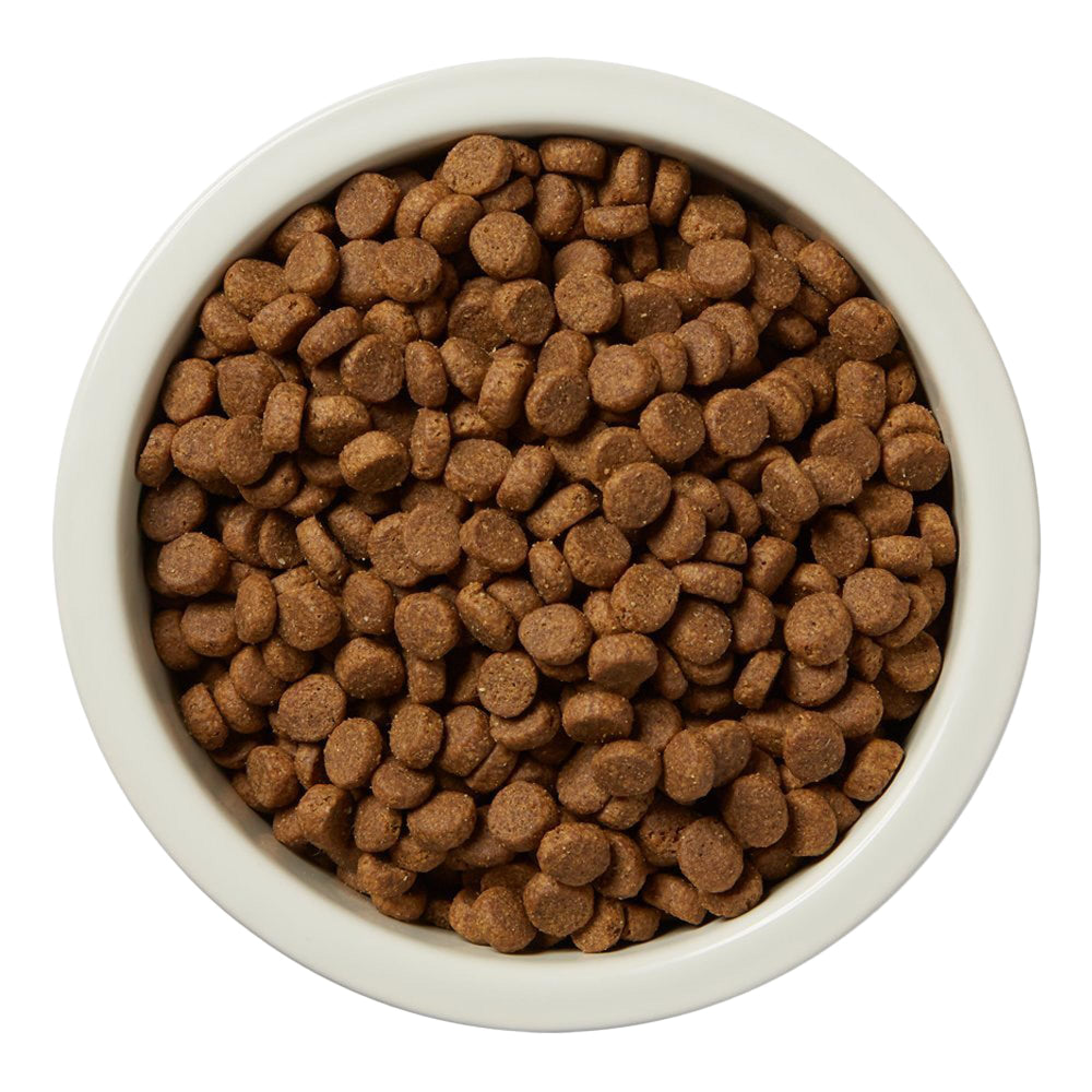 WAG wild boar and beef blend image hints high-protein diet potential for busy pets.