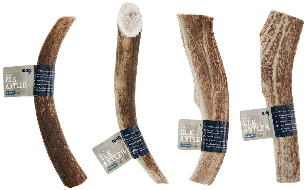 WAG Elk Antler Large dog chewer use, ideal for big breeds