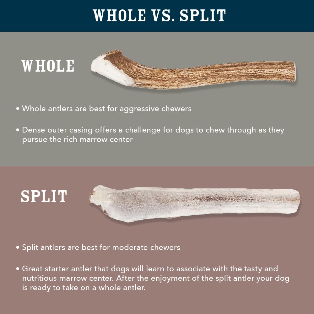 WAG Elk Antler No Artificial Colors or Flavors in the product
