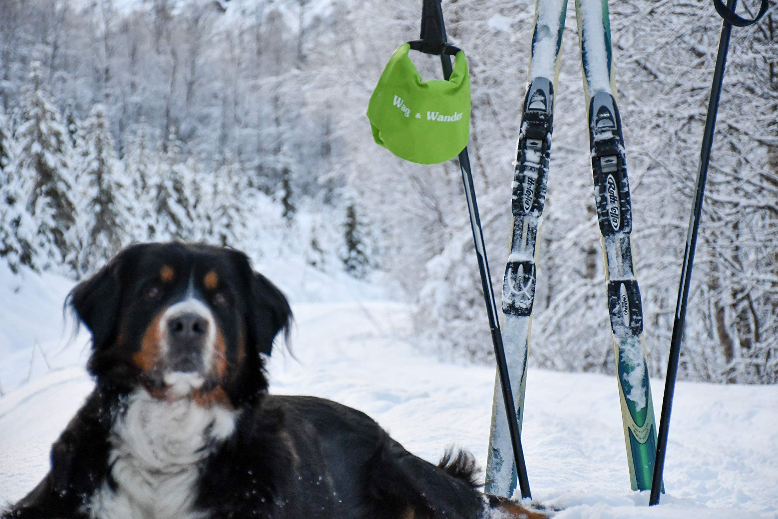 Wag & Wander two-layer design locks in smells