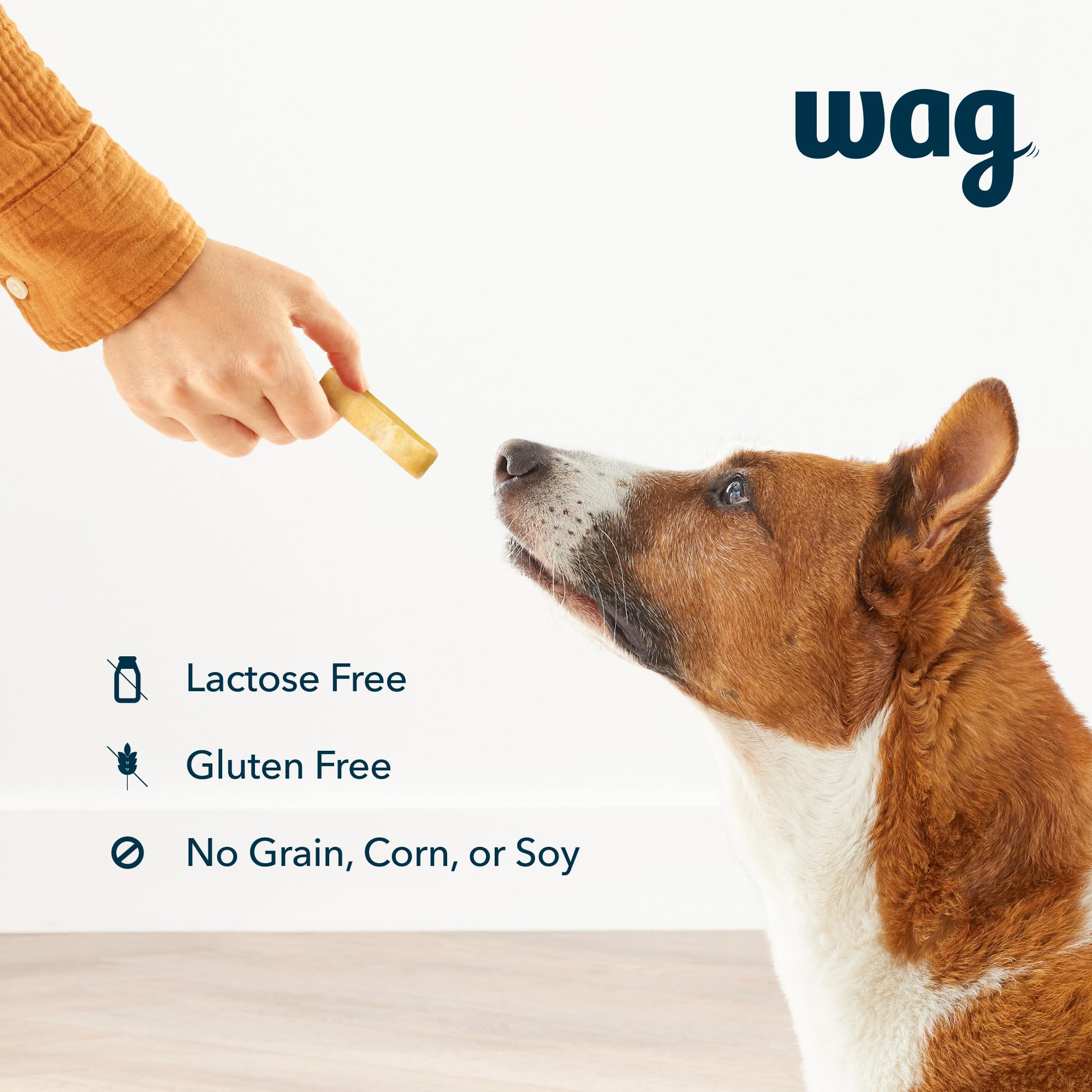 WAG Yak Cheese dog chew large-dog grip demonstrates long-lasting entertainment.