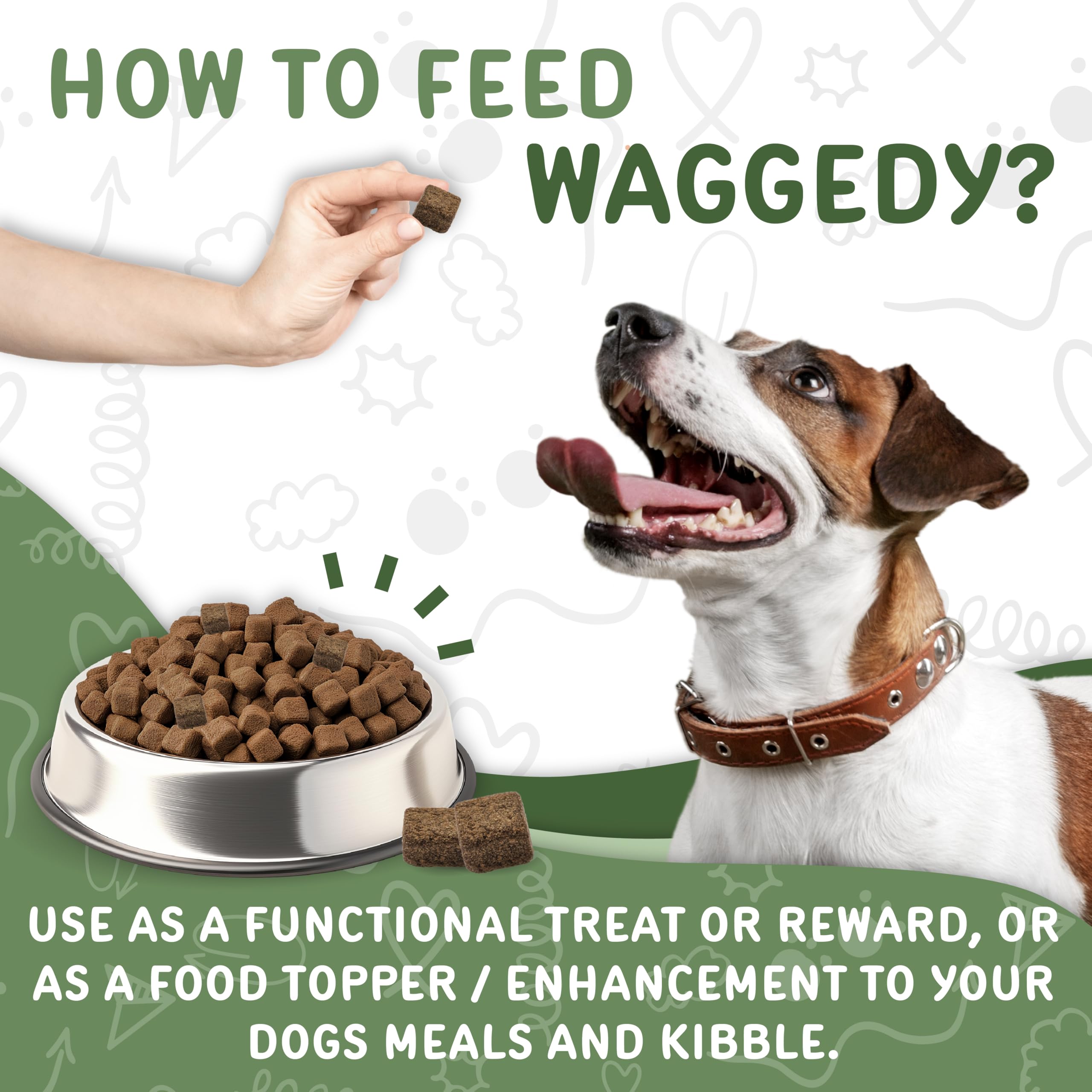 Waggedy Calm Max taste test dog showing chew acceptance