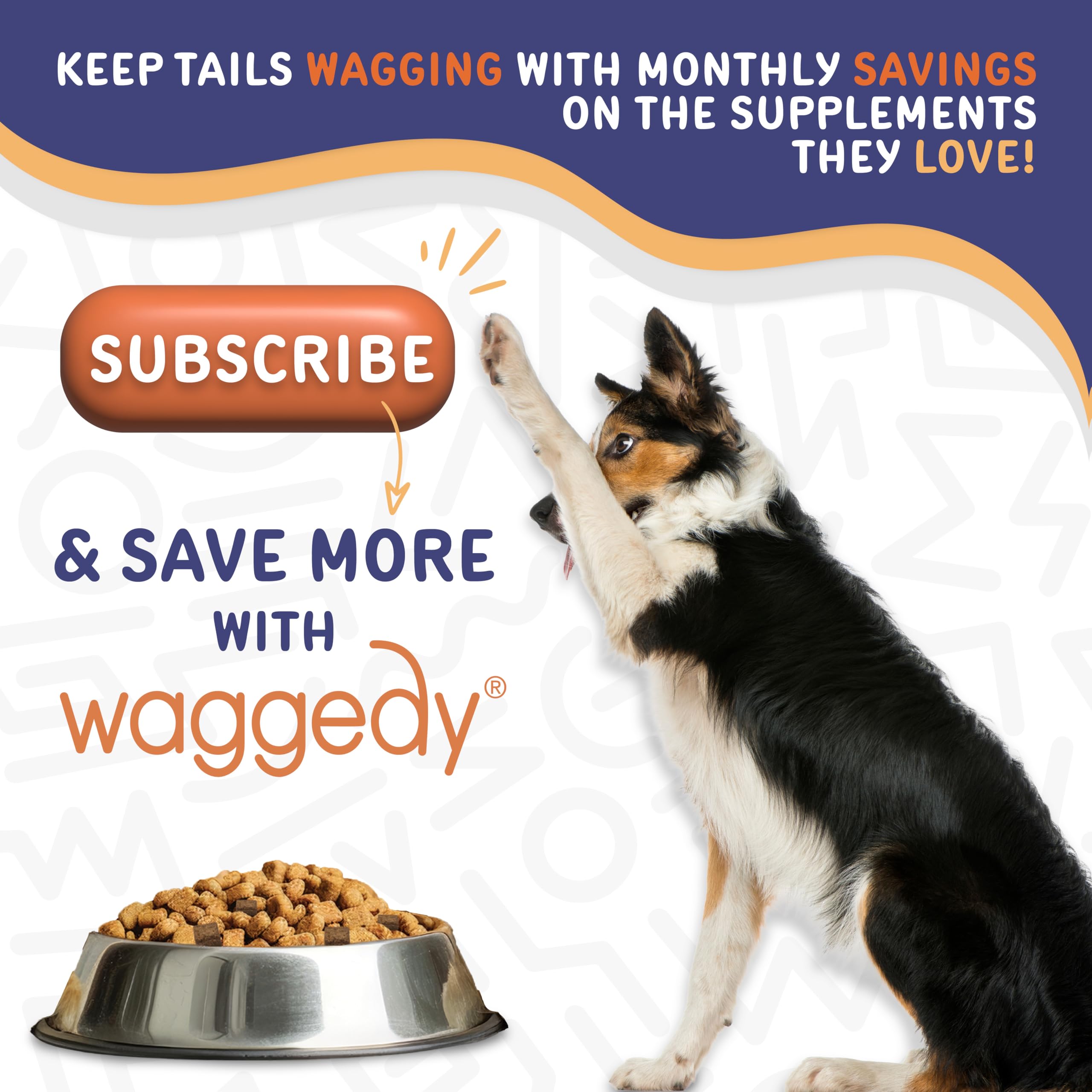 Waggedy Calm Max travel-use scene for trips and new surroundings