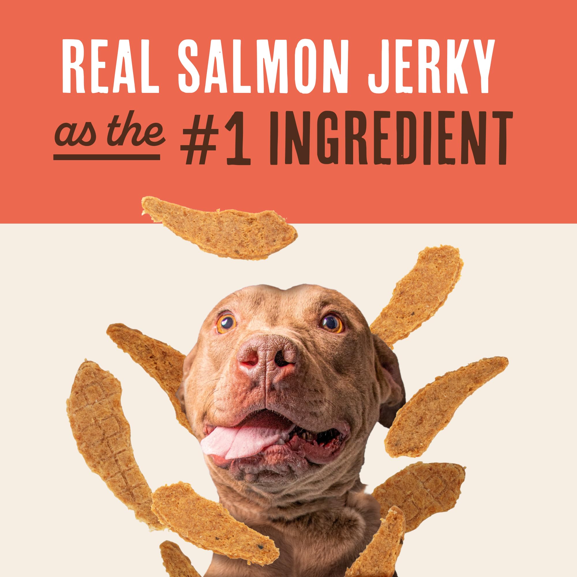 Dog happily enjoying Waggin' Train salmon jerky treat.