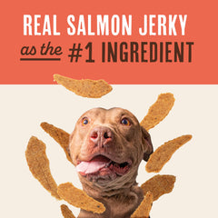 Dog happily enjoying Waggin' Train salmon jerky treat.