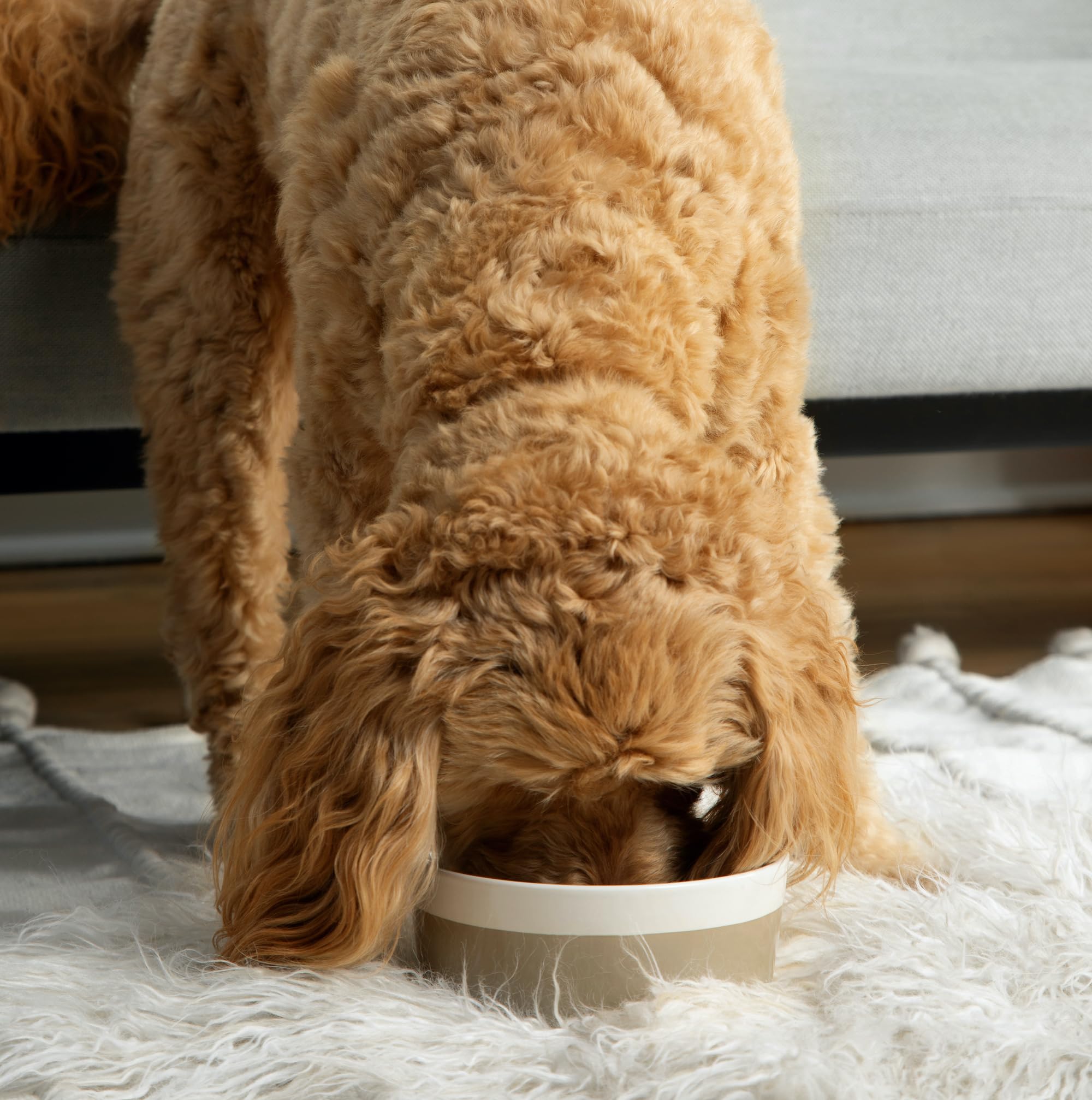 Waggo Dipper white top color-bottom design adds playful style and easy cleaning