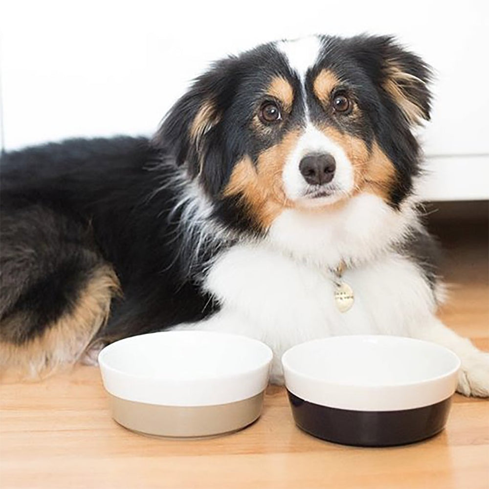 Waggo Dipper small size ideal for compact spaces and small breeds