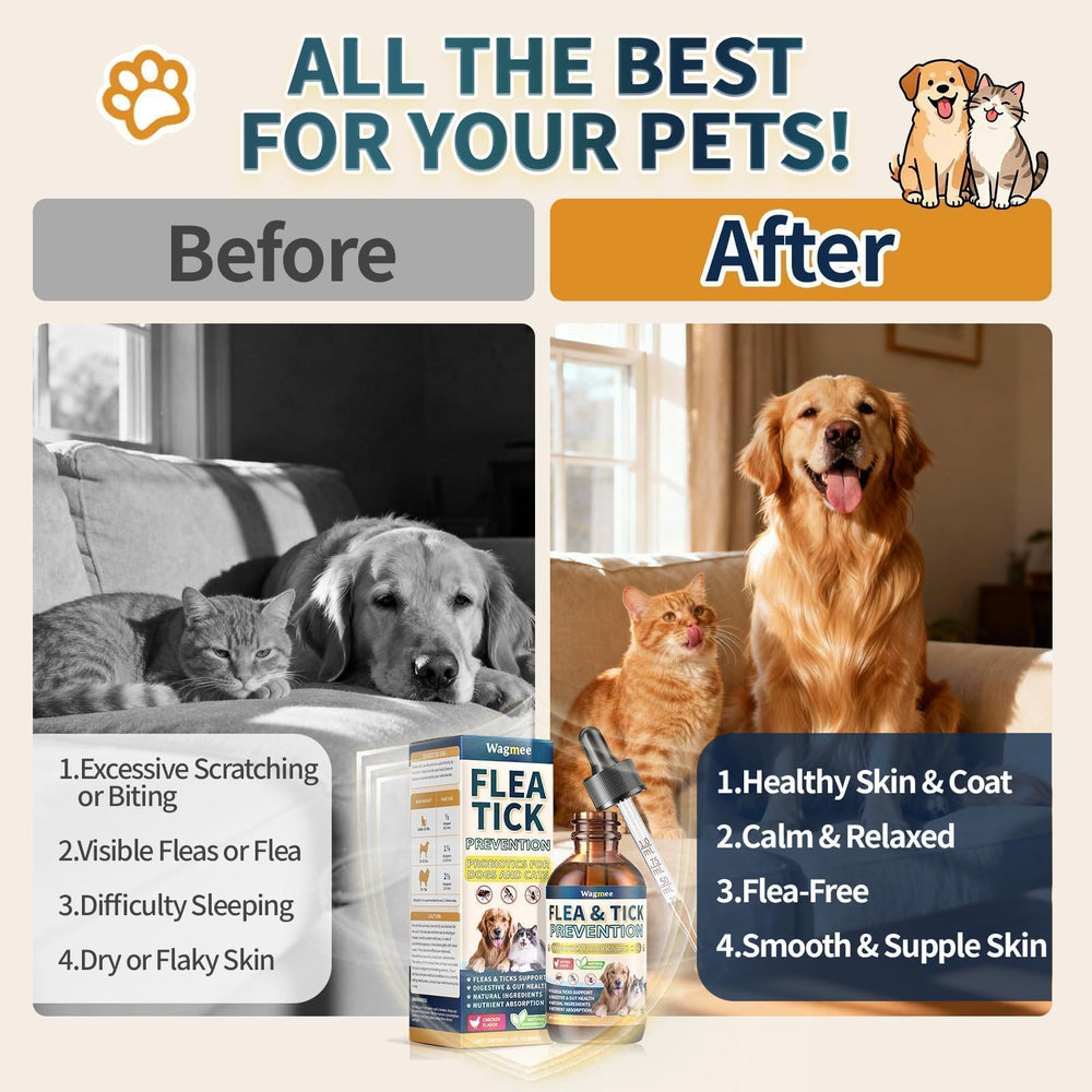 Wagmee all-breeds and all-ages packaging for cats and dogs.