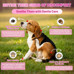 Wagmee drops for dogs featuring ears itching relief in action.