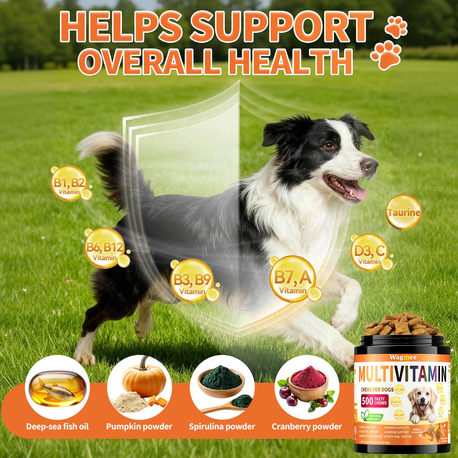 Wagmee B-complex vitamins for metabolic and nervous system support.