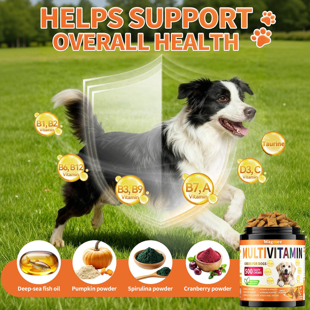 Wagmee B-complex vitamins for metabolic and nervous system support.