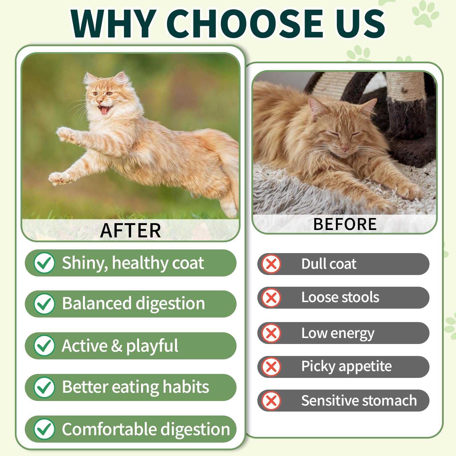 Wagmee Cat Probiotics Tasty Chews omega-3 rich formula supports a healthy coat.