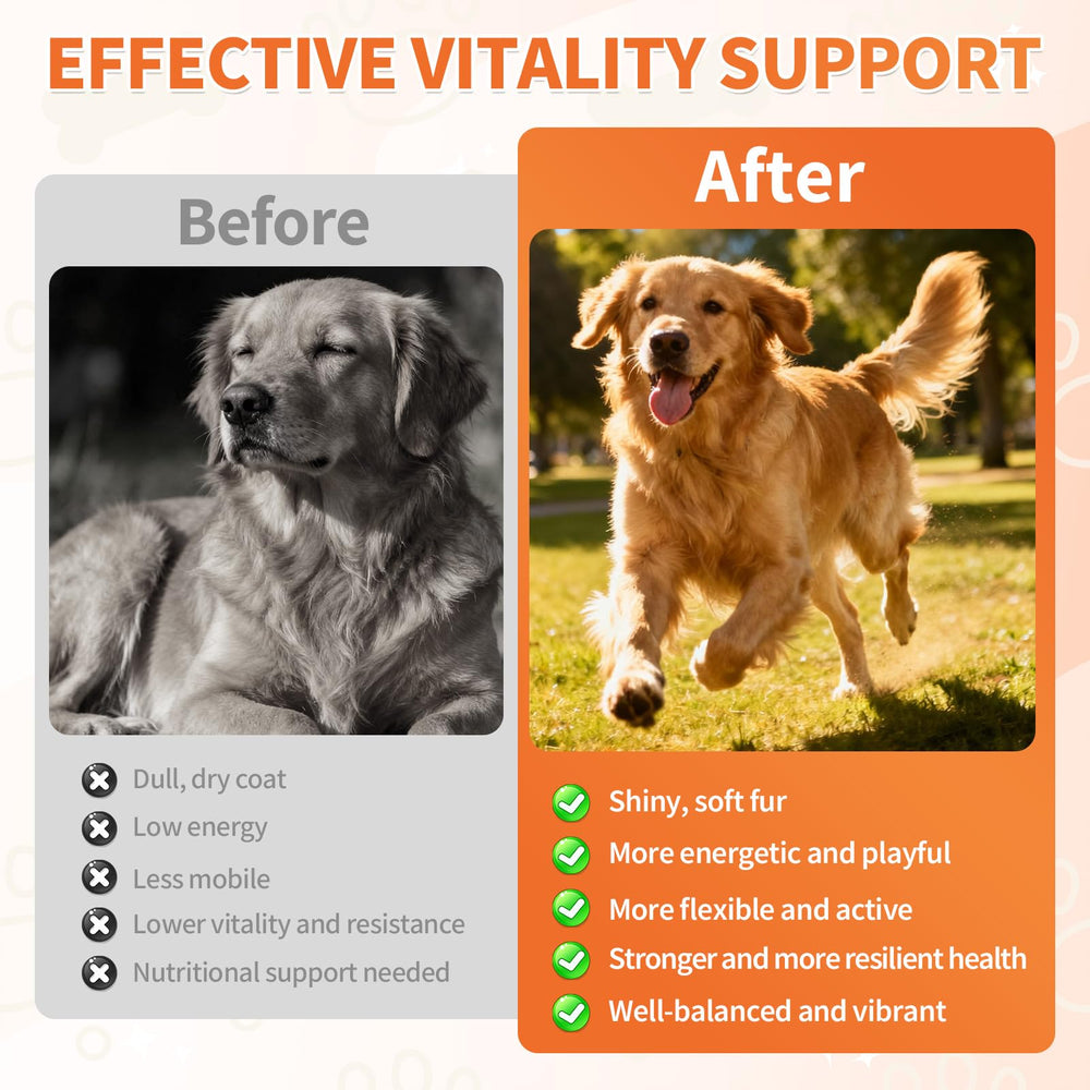 Wagmee daily-serving soft chews shown as a simple feeding option.