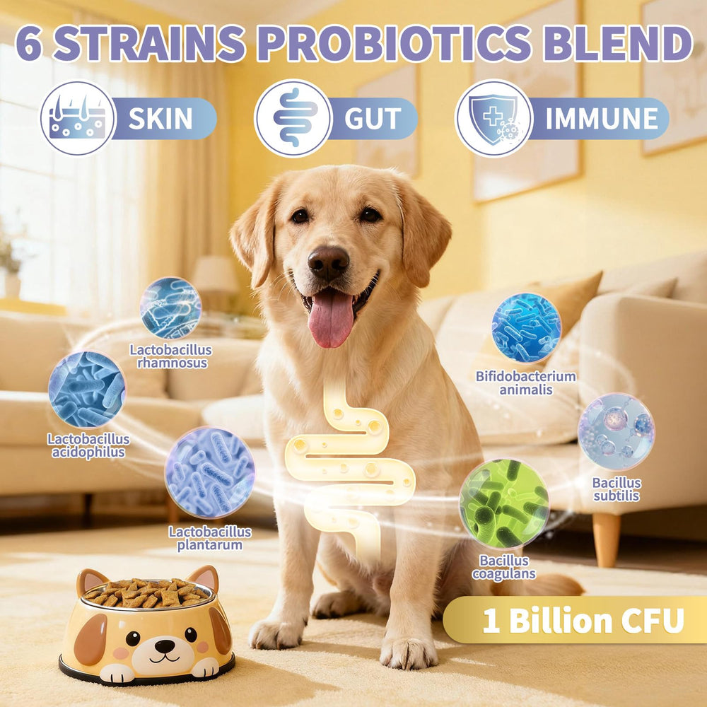 Wagmee probiotic blend supports digestion and immune balance.