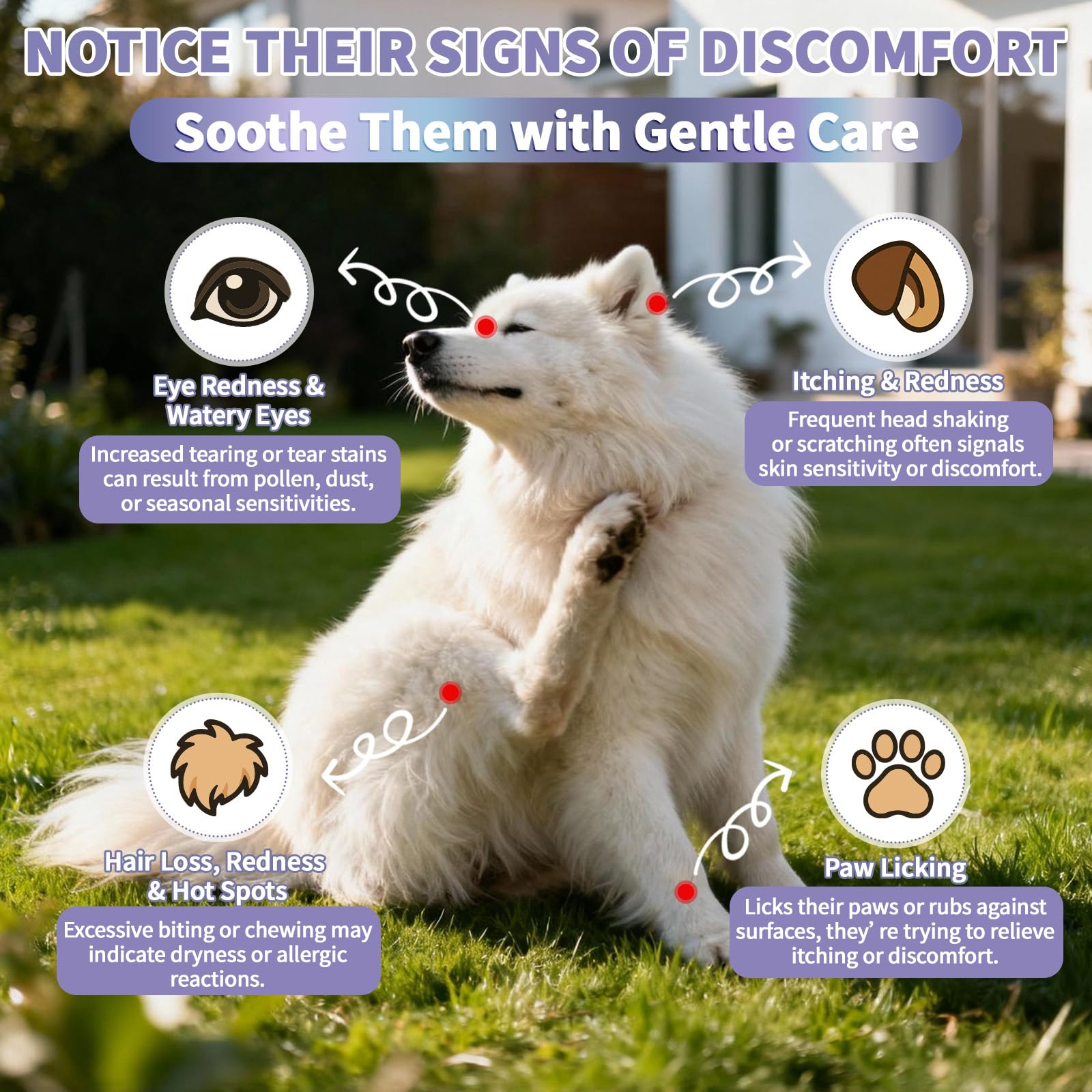 Wagmee chews promote healthier skin and coat over time.