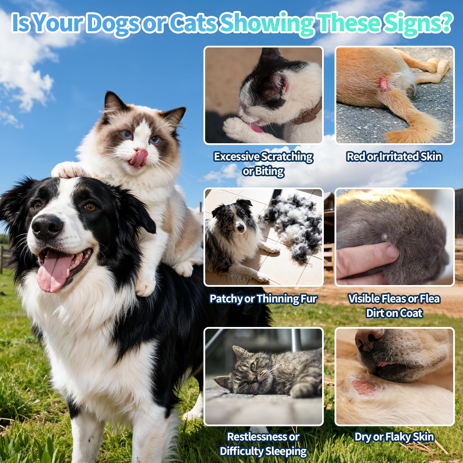Wagmee Drops skin and coat boost supporting visible vitality