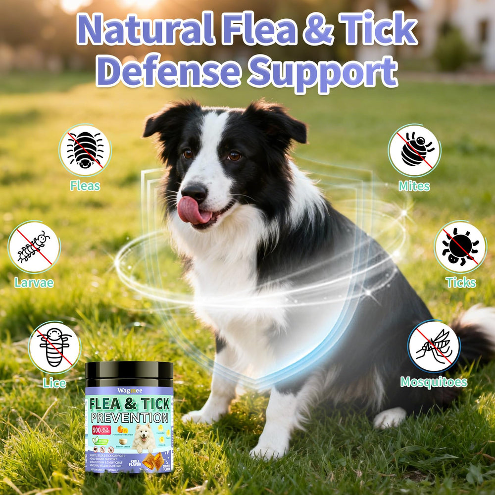 Wagmee dual-flavor chicken and krill chews appealing treat