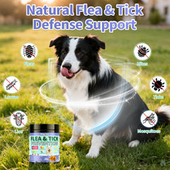 Wagmee dual-flavor chicken and krill chews appealing treat