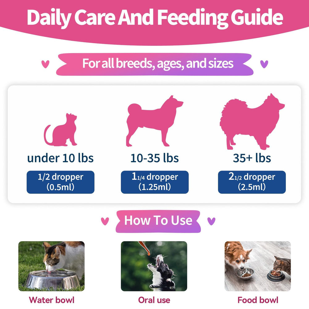 Wagmee suitable for multi-pet households and shared routines